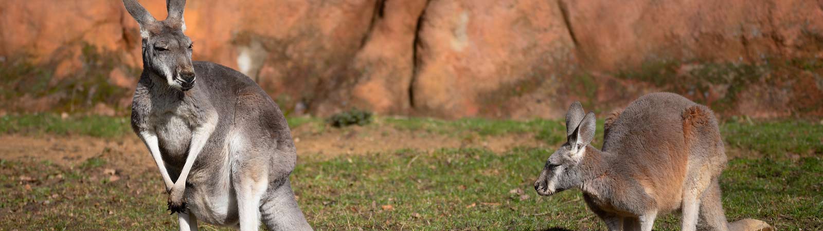 Explore Australia & New Zealand