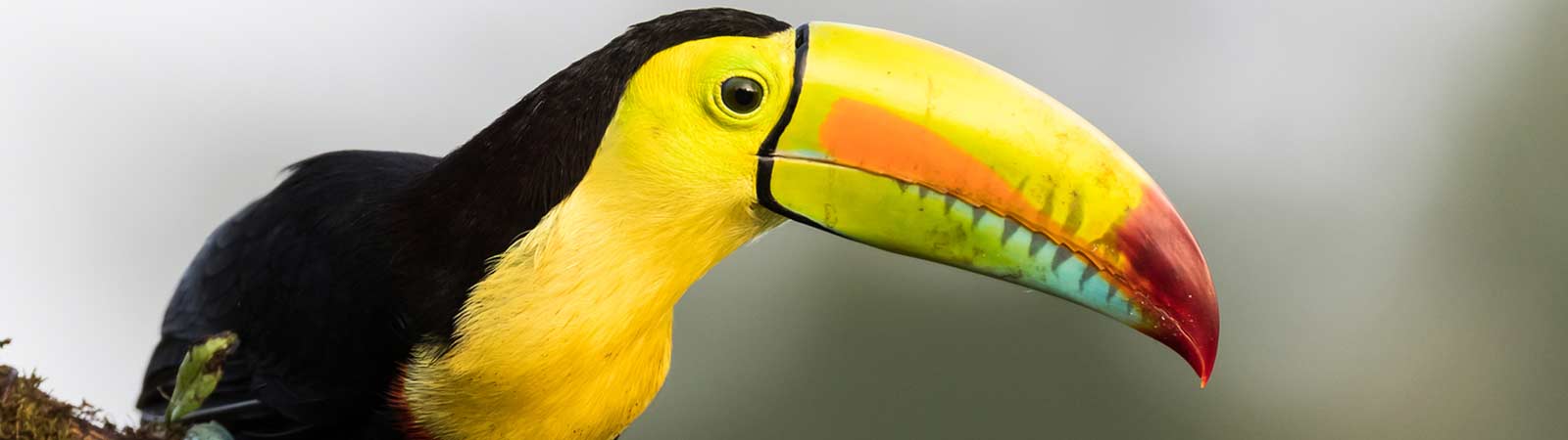 South & Central America Tours