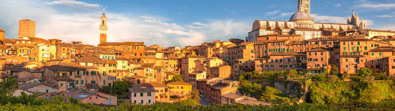 Panoramic view of Tuscany on an escorted Italy vacation