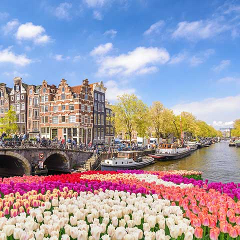 View of Amsterdam on an escorted Netherlands vacation